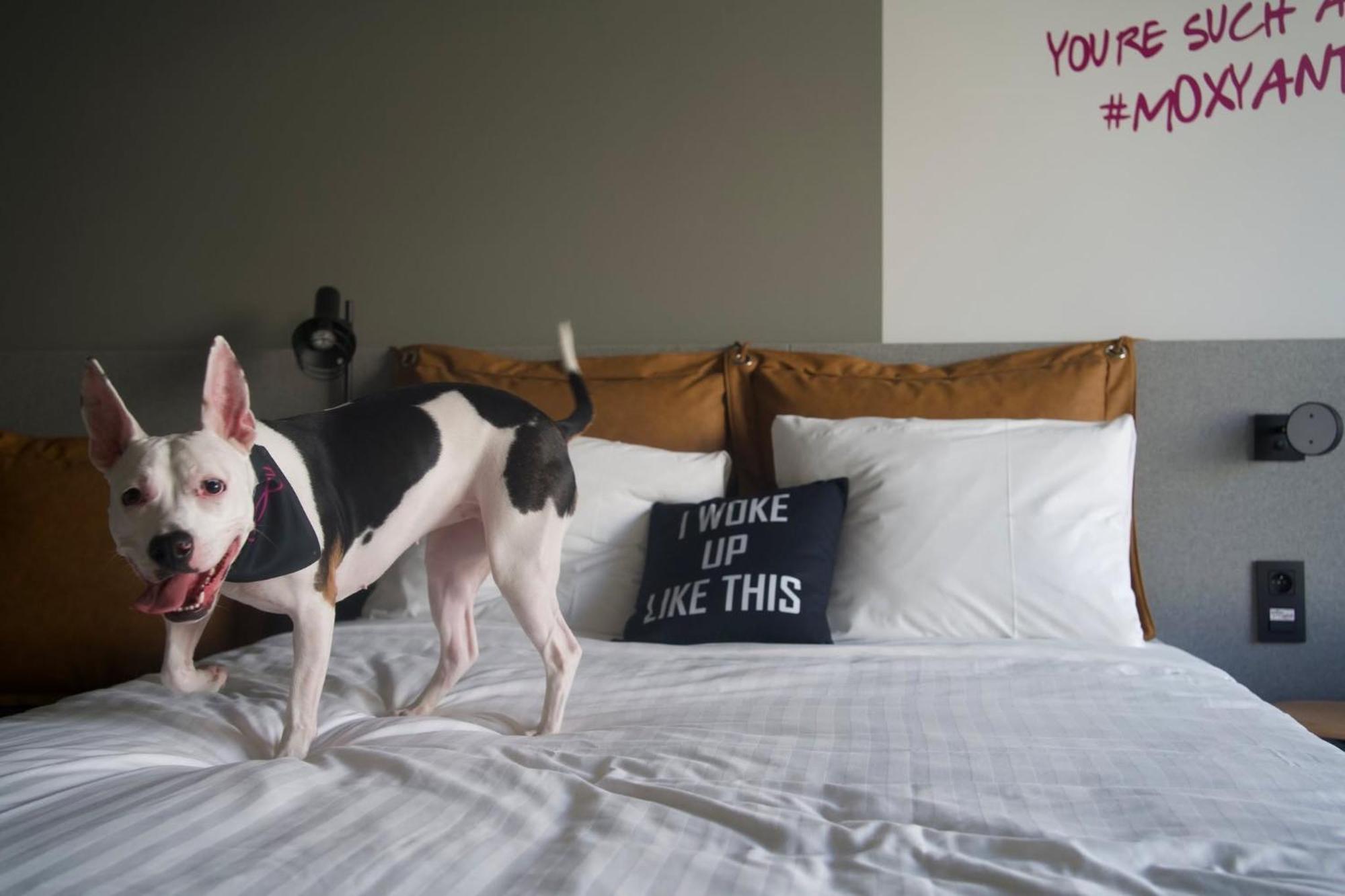 Hotel Moxy Anvers